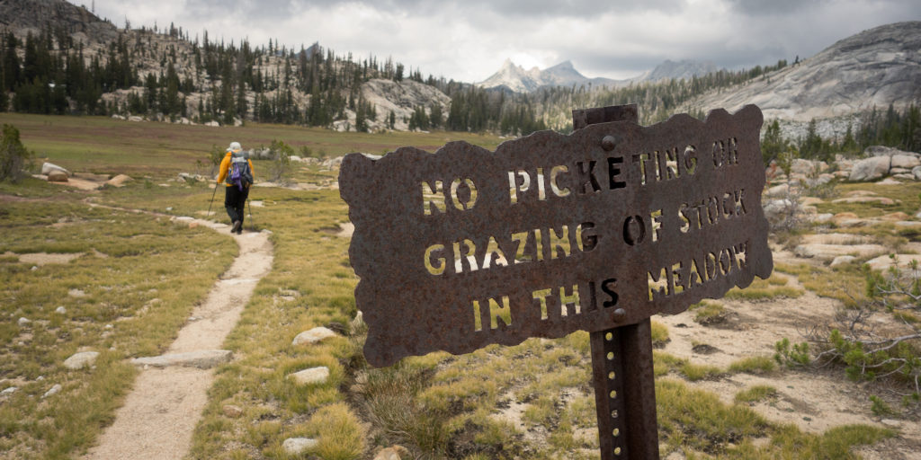 No grazing in the meadow, okay?