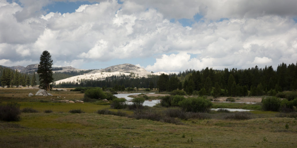 Tuolumne Meadow and view of Lembert Dome