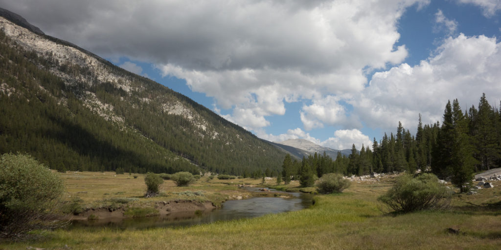 Tuolumne Meadow