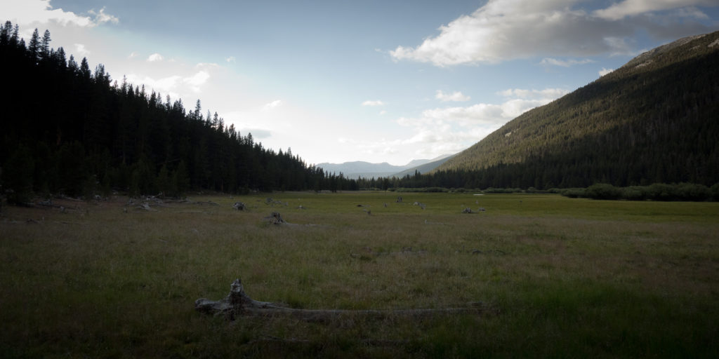 Lyell Canyon looking north