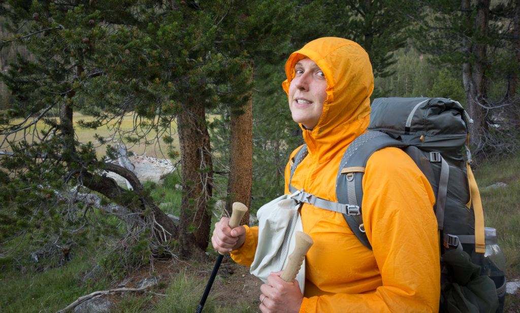 Hiding from the mosquitoes. Patagonia Houdini jacket actually very useful in this pursuit. 