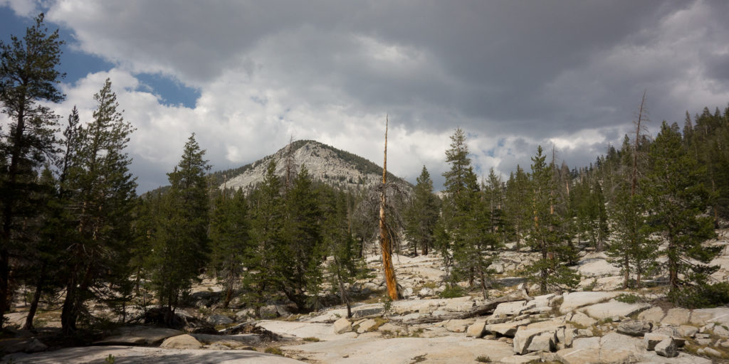 Granite in Bear Creek Meadows