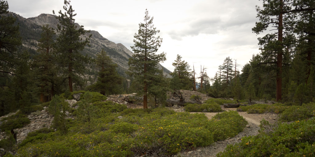 John Muir Trail