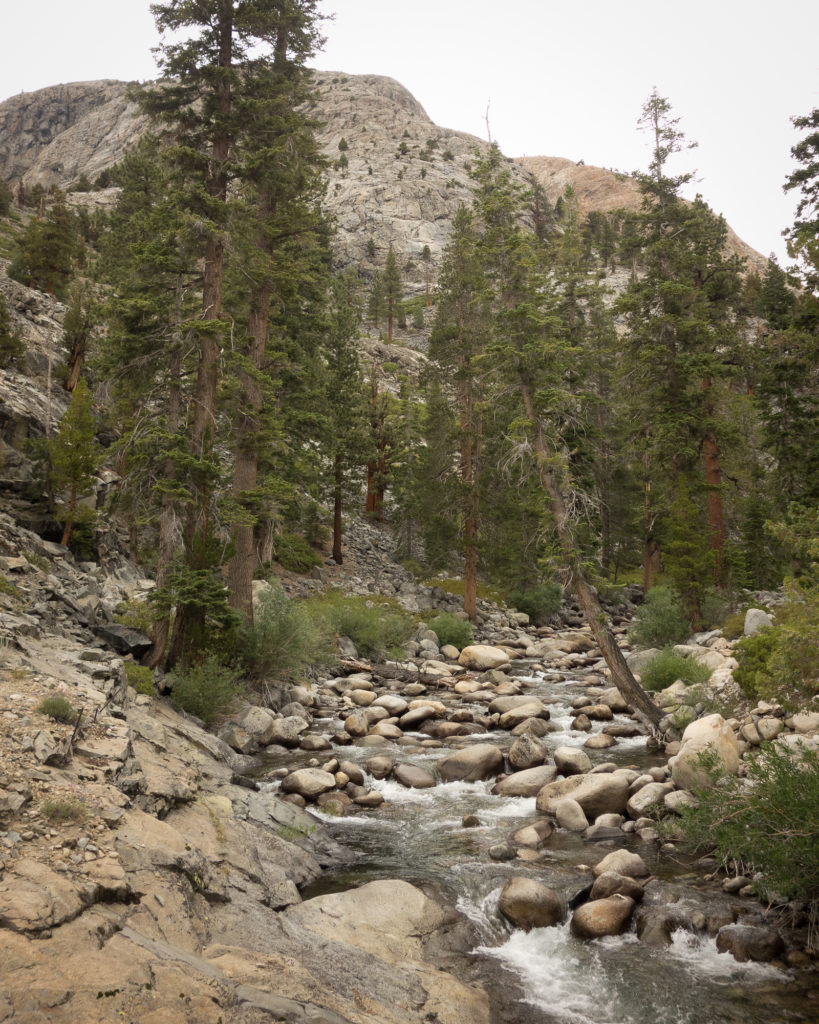 Piute Creek. Tributary to San Joaquin