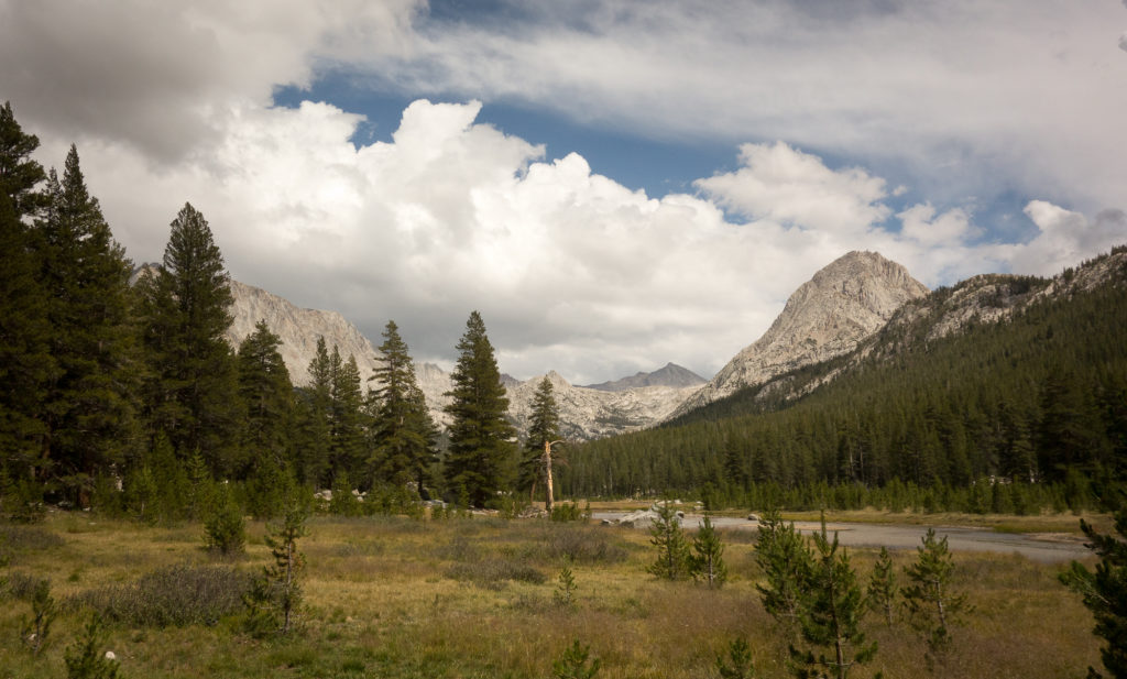 Colby Meadow