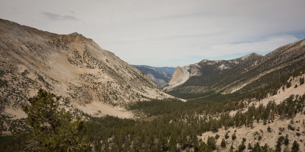 Upper Vidette Meadow