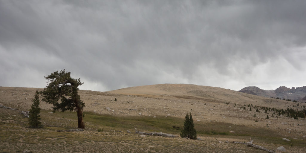 Big Horn Plateau